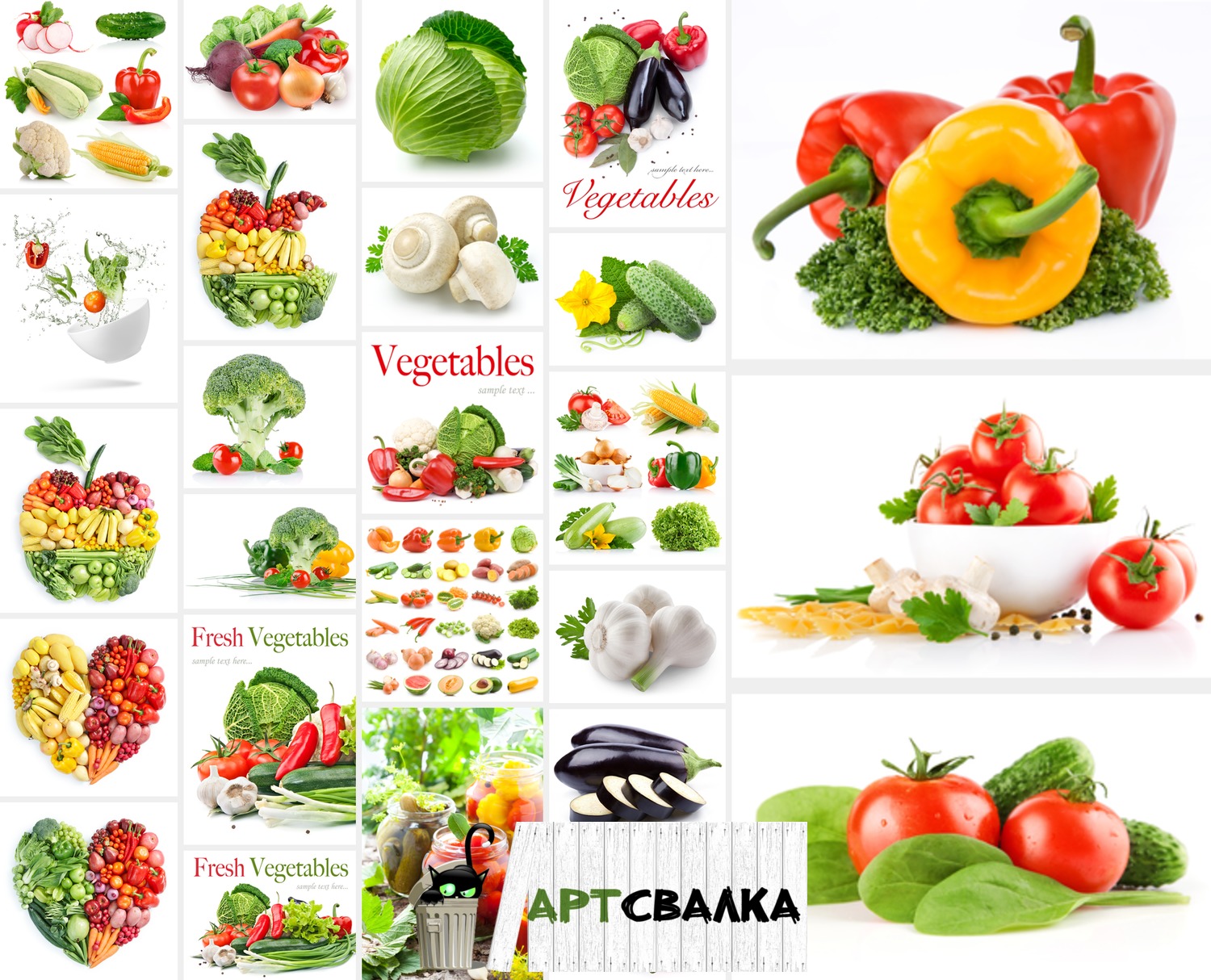Овощи на белом фоне крупным планом в HD. Часть 2 | Vegetables on white background close up in HD. Part 2